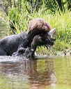 20150526-wcw-0081