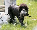 20150526-wcw-0196