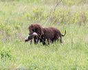 20150526-wcxl-0145