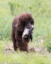 20150526-wcxl-0147