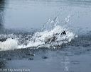 20150526-wcxw-0078