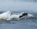 20150526-wcxw-0080