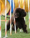 20150528-ag-0046