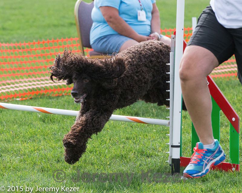 20150528-ag-0248.jpg