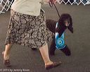 20150528-pr-0009