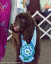 20150528-pr-0030