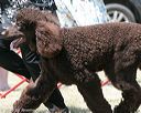 20150530-co-0369