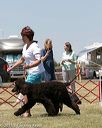 20150530-co-0378
