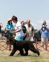 20150530-co-0381
