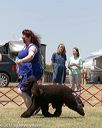 20150530-co-0397
