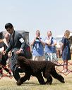 20150530-co-0430