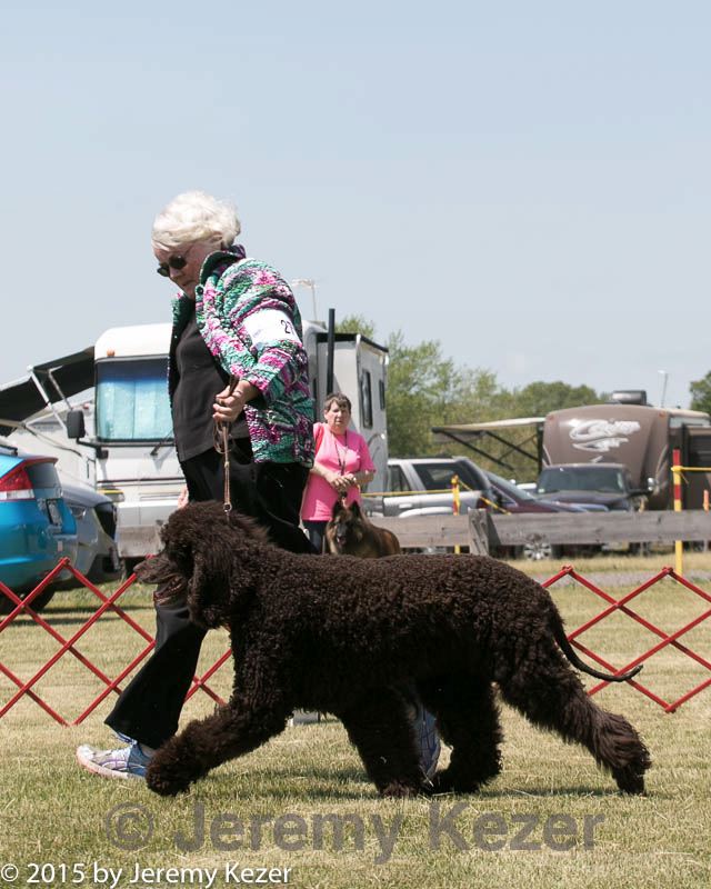 20150530-co-0337.jpg