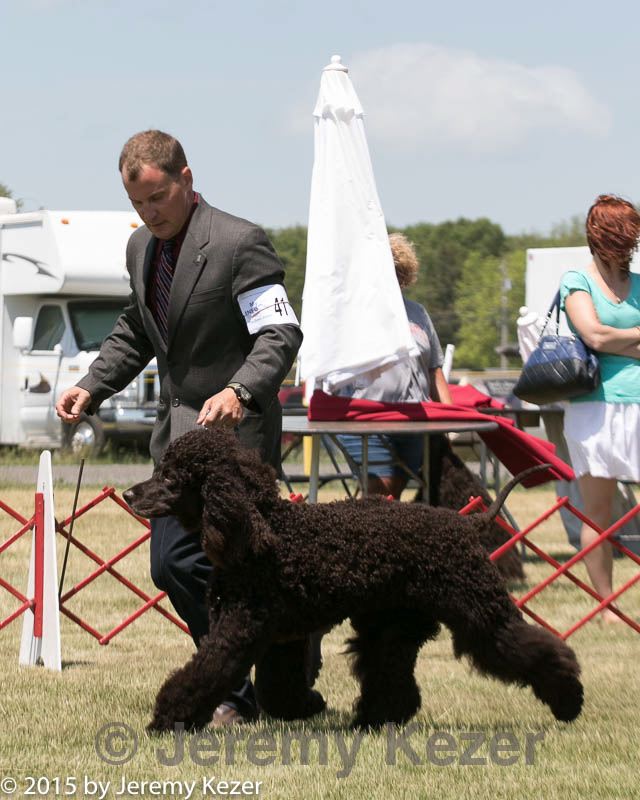 20150530-co-0412.jpg