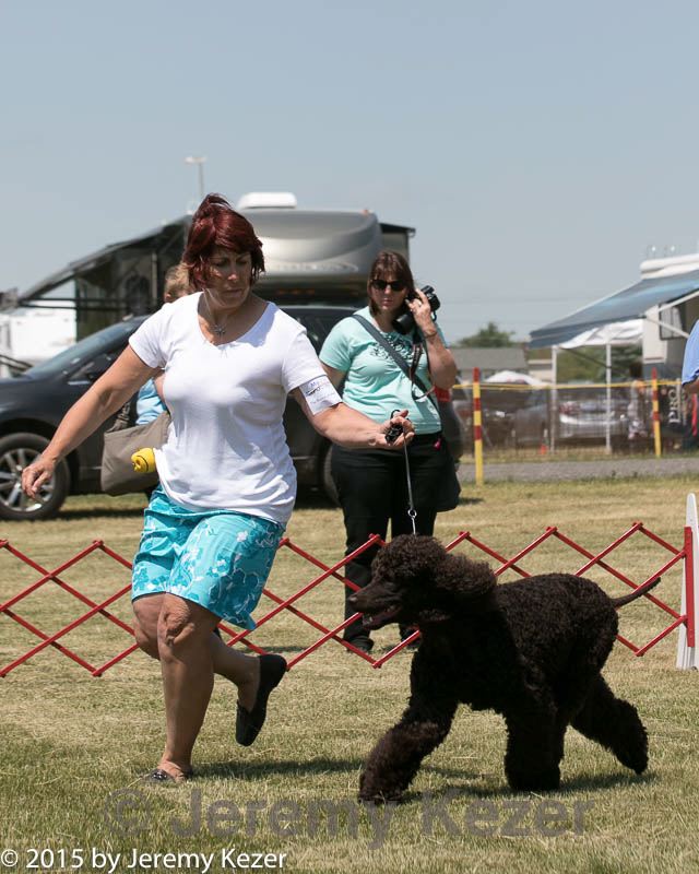 20150530-co-0205.jpg