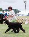20150531-co-0130