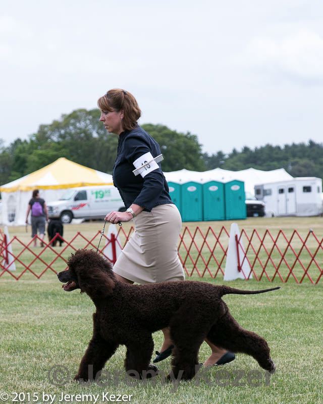 20150531-co-0167.jpg