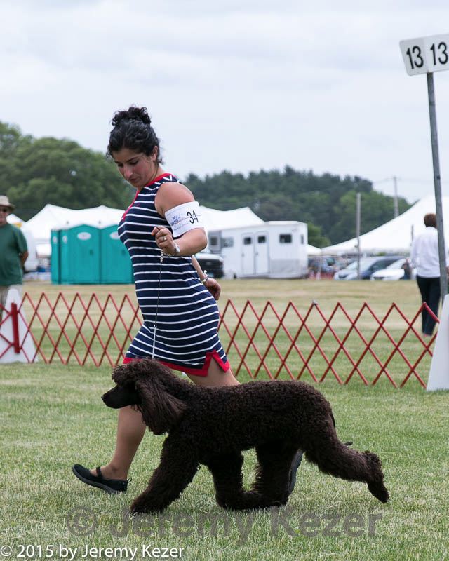 20150531-co-0184.jpg