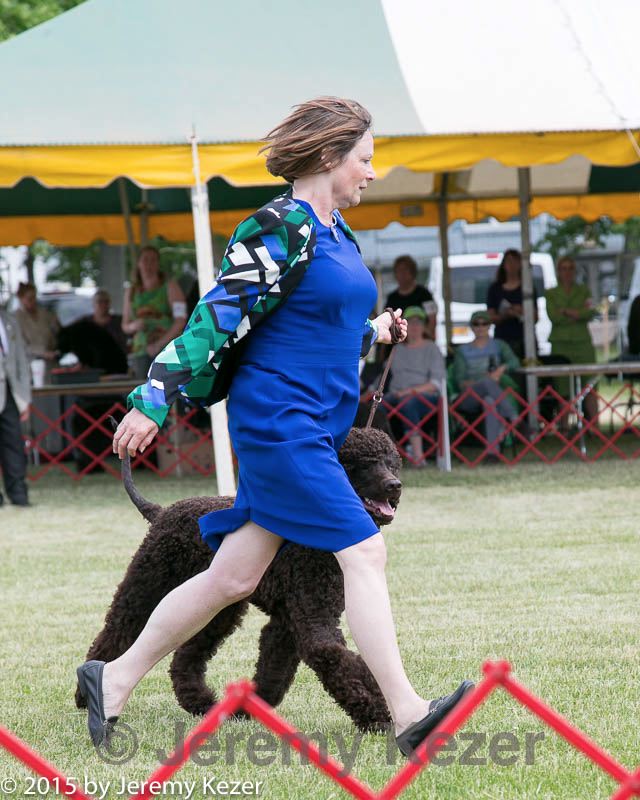 20150531-co-0015.jpg
