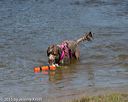 20150822-awd-0003