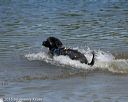 20150822-awd-0056