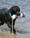 20150822-awd-0220