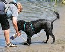 20150822-awd-0223