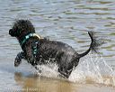 20150822-awd-0254