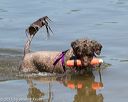20150822-awd-0271