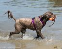 20150822-awd-0276
