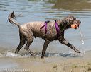 20150822-awd-0278