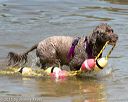 20150822-awd-0283