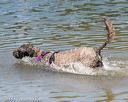 20150822-awd-0339