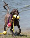 20150822-awd-0362