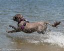 20150822-awd-0367