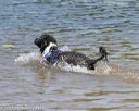 20150822-awd-0452