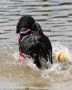 20150822-cwd-0038