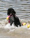 20150822-cwd-0040
