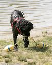 20150822-cwd-0277