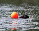 20150822-cwd-0328