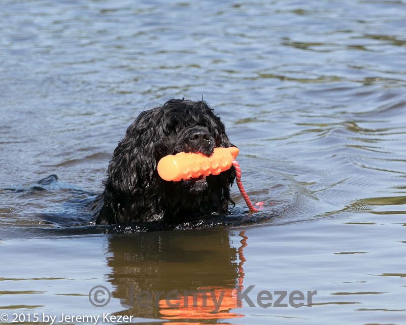 20150822-jwd-0049.jpg