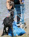 20150822-wwd-0004