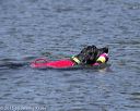 20150822-wwd-0015