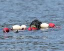20150822-wwd-0047