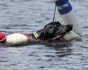 20150822-wwd-0063