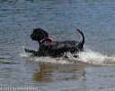 20150822-wwd-0082