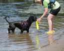 20150822-wwd-0087