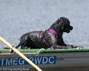20150822-wwd-0130