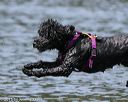 20150822-wwd-0141