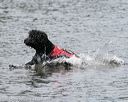 20150822-wwd-0217
