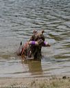 20150822-wwd-0263
